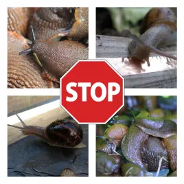 odstraszacz-reball-001-kg