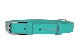 obroza-dla-psa-skorzana-waudog-collar-r-xs