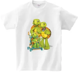 koszulka-t-shirt-franklin-producent