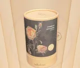 silulan-astaxanthin-essence-stan-nowy