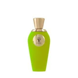 v-canto-p-d-f-extrait-de-parfum-unisex-100-ml