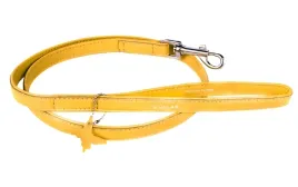 smycz-tradycyjna-waudog-collar-skora-122-m