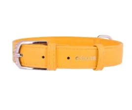 obroza-dla-psa-skorzana-waudog-collar-r-l