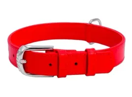 obroza-dla-psa-skorzana-waudog-collar-r-xs