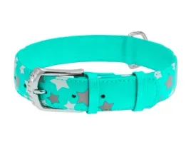 obroza-dla-psa-skorzana-waudog-collar-r-l