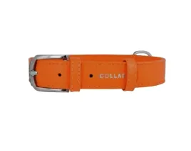 obroza-dla-psa-skorzana-waudog-collar-r-m