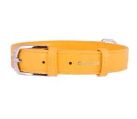 obroza-dla-psa-skorzana-waudog-collar-r-m