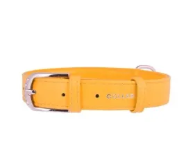 obroza-dla-psa-skorzana-waudog-collar-r-xs