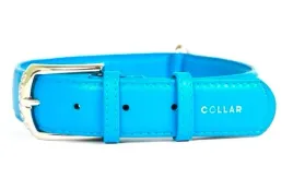 obroza-dla-psa-skorzana-waudog-collar-r-xs