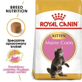 royal-canin-maine-coon-kitten-10kg