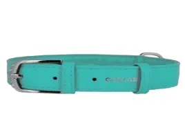 obroza-dla-psa-skorzana-waudog-collar-r-s