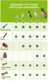 gryzaki-dentystyczne-stix-dla-psa-whimzees-acana-r-m-gryzak-14-szt-rolka-marka-whimzees