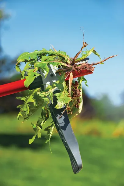 kultywator-wolf-garten-metal-20-cm-waga-z-opakowaniem-0-46-kg