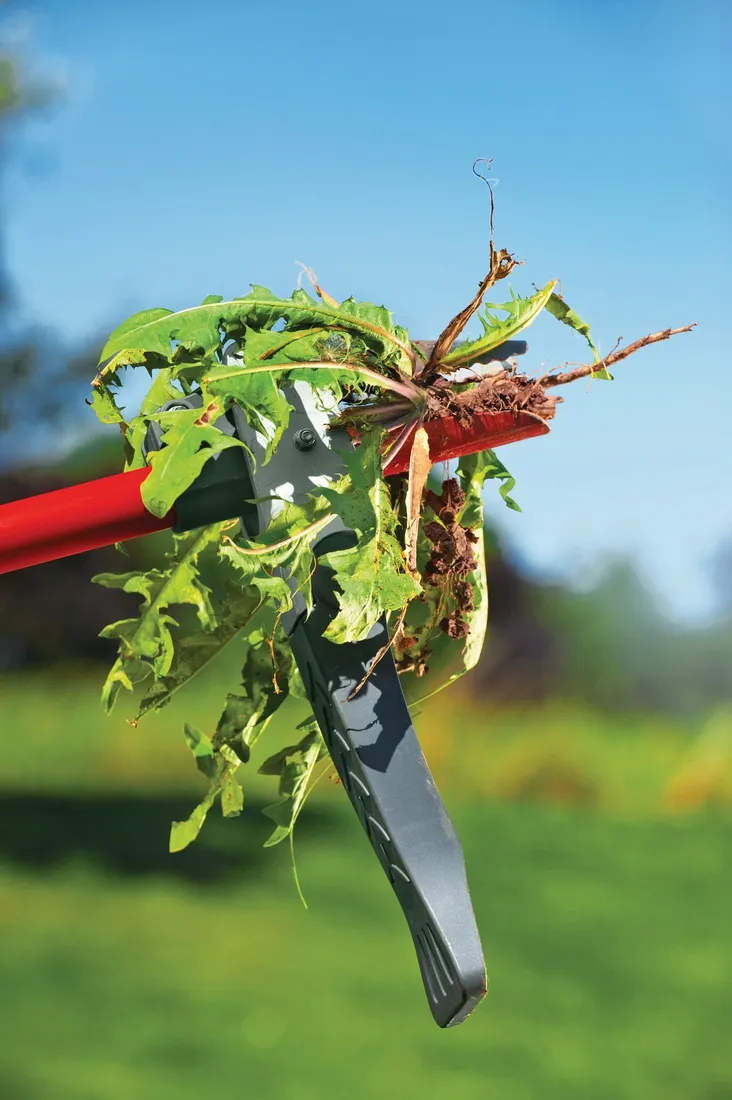 kultywator-wolf-garten-metal-20-cm