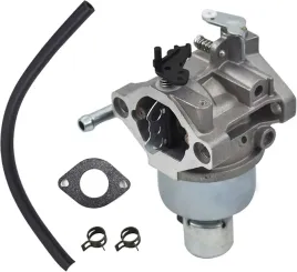 gaznik-briggsandstratton-496796-499153-591736-594601-594605-695412