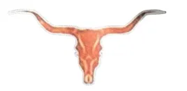 brazowa-koszula-meska-z-krotkim-rekawem-w-paski-casual-letnia-r-m