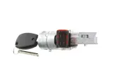 renault-clio-3-kangoo-master-modus-trafic-stacyjka-typ-samochodu-samochody-osobowe-samochody-dostawcze