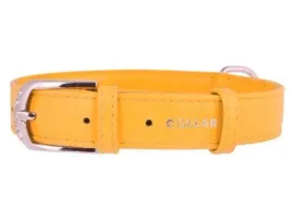 obroza-dla-psa-skorzana-waudog-collar-r-s