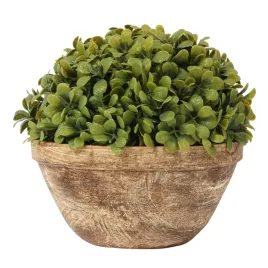 bukszpanowa-kula-iii-w-donicy-20-cm-ozdoba-roslina