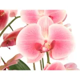 sztuczny-storczyk-gumowy-w-ceramicznej-donicy-kwiat-orchidea-ozdoba-premium-liczba-sztuk-w-zestawie-1-szt