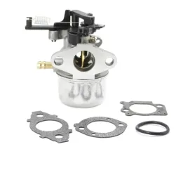 gaznik-silnika-briggs-bands-799226