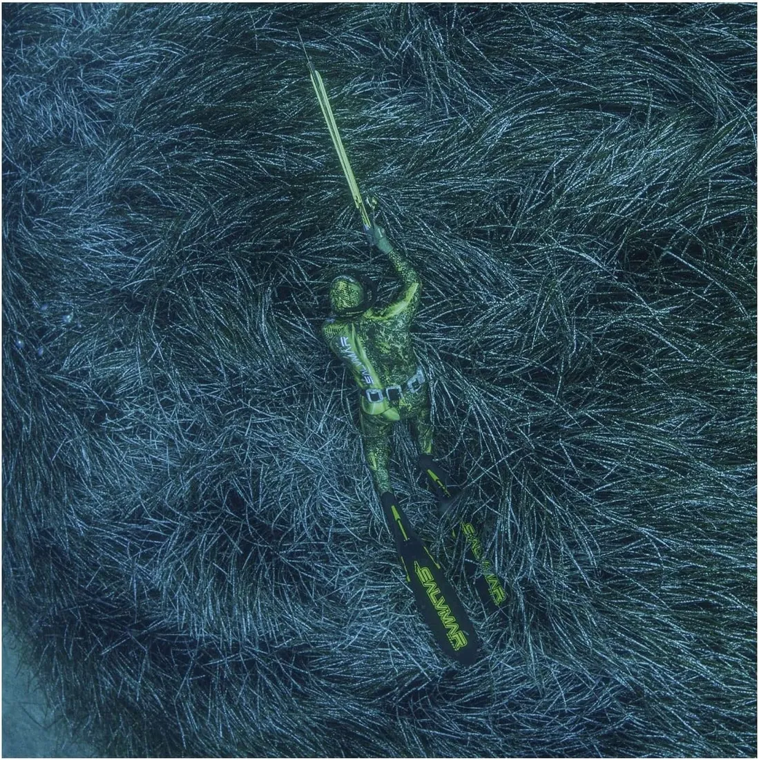 kusza-salvimar-matal-krypsis-105-marka-salvimar