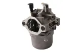 gaznik-briggsandstratton-799728-typ-gaznik