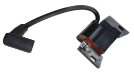 cewka-zaplonowa-briggsandstratton-593872