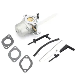 gaznik-briggs-and-stratton-bands-796122-794593