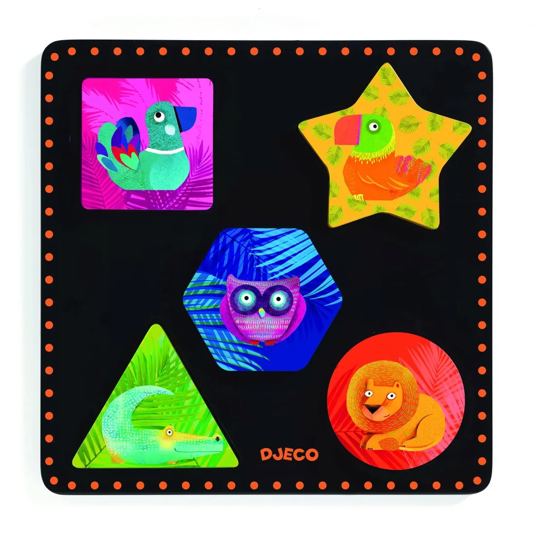 sorter-djeco-geochic