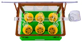 mini-ogrodek-szklarnia-dla-dzieci-maly-ogrod-nasiona-narzedzia-ogrodowe