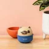 tiger-tribe-rocking-rollers-pies-efekty-ruchowe