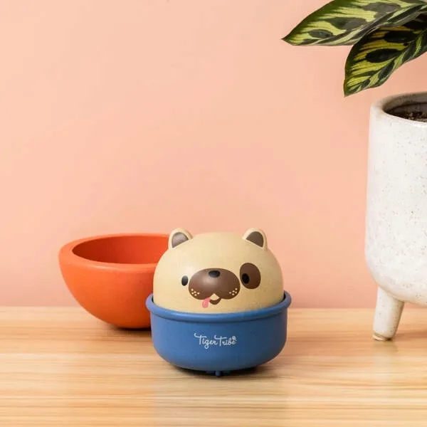 tiger-tribe-rocking-rollers-pies