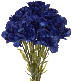 12x-gozdzik-galazka-dr-blue-ciemny-niebieski-67-cm