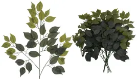 12x-lisc-liscie-benjamin-galazka-do-kompozycji-62