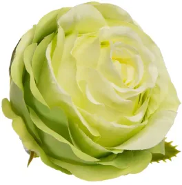 roza-wyrobowa-green-12-szt-glowka-kwiatowa-premium