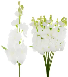 12x-ostrozka-biala-galazka-lewkonia