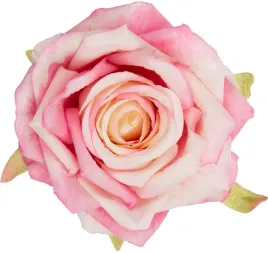 12x-roza-glowka-wyrobowa-roz-krem