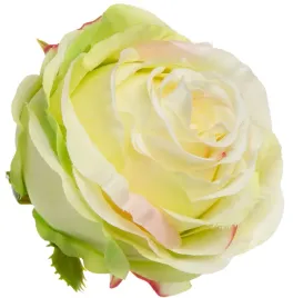 roza-wyrobowa-lt-green-edge-pink-12-szt-glowka-kwiatowa-premium