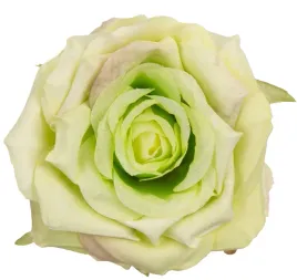 12x-roza-glowka-wyrobowa-zielona