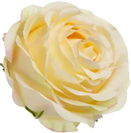 roza-wyrobowa-vanilla-pudding-12-szt-glowka-kwiatowa-premium