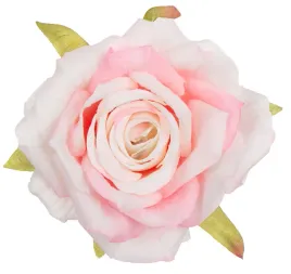 12x-roza-glowka-wyrobowa-krem-roz