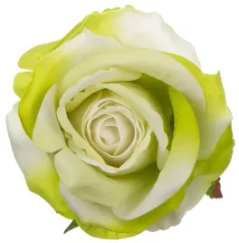 roza-glowka-wyrobowa-12-szt-pistacja