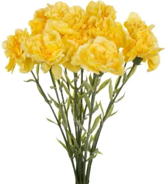 12x-gozdzik-galazka-zolty-lt-yellow-67-cm