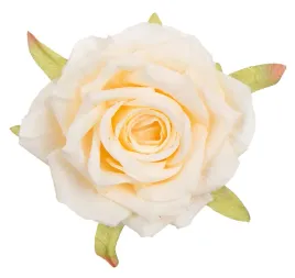 12x-roza-glowka-wyrobowa-waniliowa