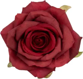 12x-roza-glowka-wyrobowa-jesne-bordo