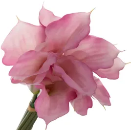 kalia-gumowa-rozowa-bukiet-12-kwiatow