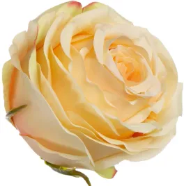 roza-wyrobowa-gold-yellow-zolta-12-szt-glowka-kwiatowa-premium