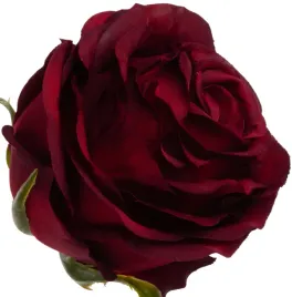 roza-wyrobowa-burgundy-12-szt-glowka-kwiatowa-premium