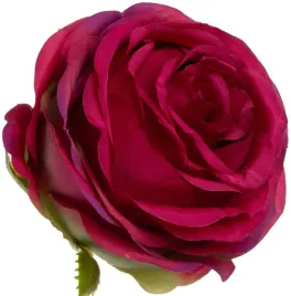 roza-wyrobowa-fuchsia-fuksja-12-szt-glowka-kwiatowa-premium